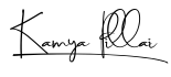 https://sadaivayurveda.com/wp-content/uploads/2024/09/Vaidya-Kamya-Pillai.png