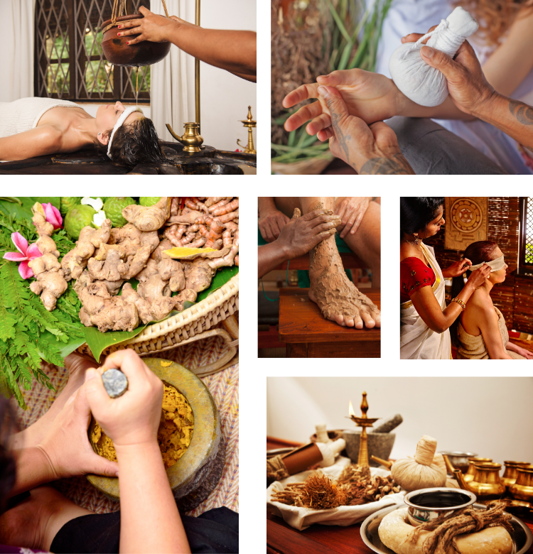 https://sadaivayurveda.com/wp-content/uploads/2024/09/fhsfhj.png